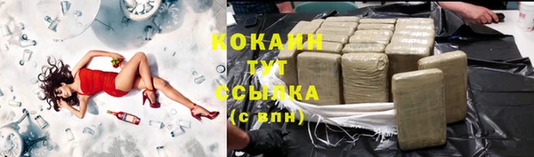 PSILOCYBIN Майский