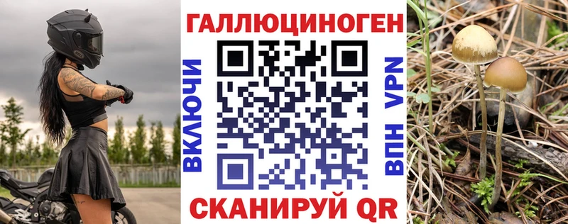 Псилоцибиновые грибы ЛСД  Кочубеевское 